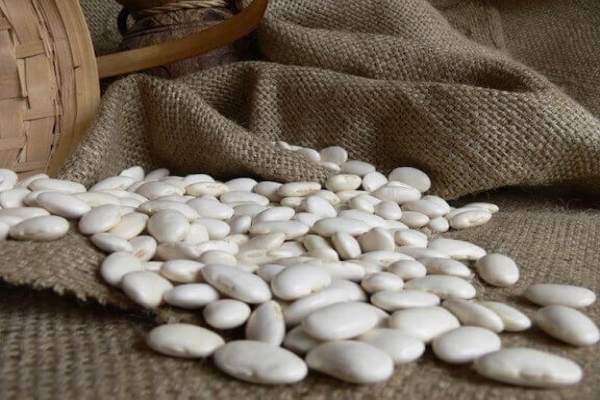 white-kidney-beans1